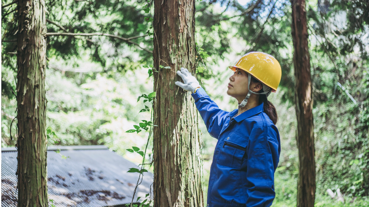 2026 Forestry Australia Symposium