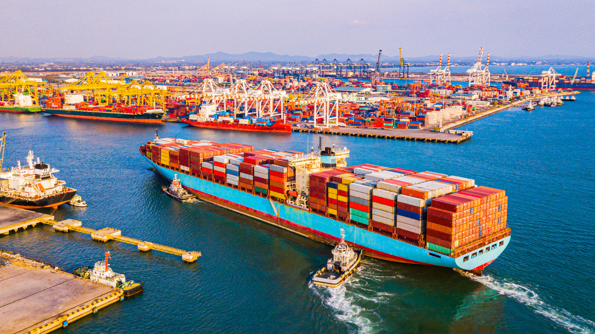 New trade body to investigate import surges