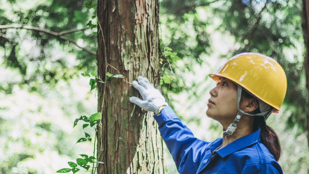 Forestry Symposium asks how the sector can build trust